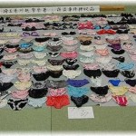 【スカッとするDQN返し】下着ドロがしつこいので、犬に履かせたパンツを干しといた結果ｗｗｗｗ