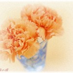 【DQN一家】今、母の日を華麗にスルーした出来ちゃった婚の嫁に一家でブチ切れしてるところ