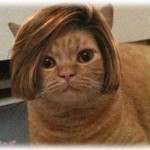 【泥ママ】訳あってウィッグをつけてるんだけど、その事をママ友に話すと優しい言葉をかけてくれた。 ジーンときて涙ぐんでいたのにその後全て吹っ飛んだ