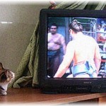 【相談】買い物に付き合って欲しいという妻に「大相撲見たいから夕方までね」と言ったら、ヘソ曲げて「私男友達と遊んでくるから！」と言い残し出かけていってしまった。ま、まさか本当に男と遊んだりしてないよな…？