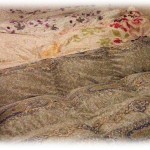 【兄嫁】兄が事故で急死した。葬式の方は殆どは葬儀屋が動いてくれたけど、母も兄嫁もショック状態で使い物にならなかったので身内や町内会への連絡から香典の計算まで、私と妹で殆ど寝ずにやった。その後のことも……