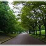 【ちょっといい話】息子が早朝のウォーキング中、一組の親子と出会ったらしい。その親子の娘さんはイジメによる不登校児で、人気の少ない早朝に母親と散歩をしていて気分転換をしていたそう