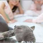 【ウルッとくる話】俺の身体的事情で子供が望めないことが判明。辛かったが嫁に離婚を切り出した。そしたら・・・