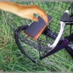 【黒い過去】自転車のカゴに置き忘れられてた財布を見つけ、札だけ抜き取って財布はドブに捨てた。その数日後、財布の持ち主である隣人がしんだ・・・