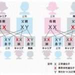 【愚痴】5年前に離婚した元嫁から「去年、○○病の子を出産しました。あなたからの遺伝なので治療費払ってください」と連絡が来た。