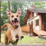 【ずうずうしい話】犬連れで別荘に行くと、いつも子供3人連れてやってくる旦那友人家族。タオルやシーツは使いたい放題、食事に文句つける、挙句の果てに言った言葉が・・・