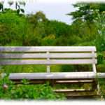 【泥棒】仲良くしているA家のA子ちゃんが真っ青な顔でうちの庭に立っていた。慌てて庭に出てみると、丹精こめて作った庭がメチャクチャになっていて、ベンチも盗まれていた。みんな大激怒で犯人探しをしようと息巻いていたら、A母が自分に任せて欲しいと提案があり、数時間でうちのベンチの写真を持ってきた。そのベンチのある場所は…。