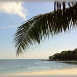 【うざい話】盆休みは南の島に行くから顔出せないと義実家に伝えたら、義妹「一緒につれてけ」夫「なんとかならない？」