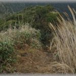 【名付け】キラキラネームや流行の名前を本当に忌み嫌いまくっていた私が、可愛らしいと感じる響きや漢字は絶対に使わないように考えた挙句、我が子につけた名前は・・・