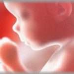 【クズ】私と元旦那は小梨で生きていこうと決めていたんだけど、元旦那から避妊は無しでお願いしますと言われた。妊娠したらその度におろせばいいじゃんだってよ。