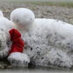 【ホラー】子供の頃に自宅の窓から庭にぬいぐるみを投げて遊んでいたら向かいの畑まで飛んでいってしまった…面倒なので翌日回収しようと決めて眠りにつくと…！