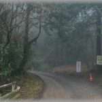 【スカッとする話】弟夫婦から車を貸してほしいと言われたが、新車購入から１ヶ月も経ってないので断った。すると勝手に持ち出してキャンプに行ったので取り返しに行くことにした。