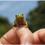 【復讐】高校で再会した小学校の同級生が不良になっていた。彼に小学生の頃、女子にイジメられていたことを打ち明けたところ・・・。