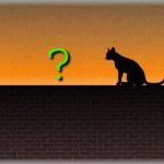 【泥ﾏﾏ】なんと…！うちの犬を盗んだ変わりに猫を置いて行った泥棒！すぐに取返し制裁も下ったようなので通報はしなかったけど、知れば知るほど呆れる泥の言い分とは……