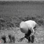 【エグイ】糞コトメが私の男だと勘違いし、大学の同級生に猛アタックの末結婚。田舎の農家の息子ということでトメはいい顔をしなかったが、至れり尽くせりの条件にコトメと田舎の婚家に行った結果ｗ