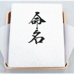 【名づけ】職場の人の長男の名前が「テンガ」だった。妊娠中の第二子の名前は「ナホ」がいいと旦那が言ってるそうだが、名字と組み合わせると・・・