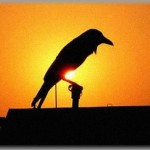 【嘘のような本当の話】小学校の頃、いじめられっ子だった俺は本と動物たちが友人の代わりだった。ある時、俺をイジメている奴らが怪我をしているカラスに石を投げたり枝でつついたりしていたので、カラスを庇い俺が代わりに蹴られたりした。その後怪我をしていたカラスを動物病院へ連れていき、2週間ほどの入院でカラスは元気になった…そして…