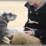 【良い話】引きこもりってほどじゃないけどとてもおとなしい義弟はなんか取っつき難くて苦手意識があった。しかし、私たち夫婦が犬を飼い始めて彼の人生が変わった。