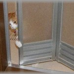 【鬱】俺の実家の近くに家を建てたら、嫁が鬱っぽくなってしまった。その原因が俺の祖父母の嫁に対する行動なんだけど…