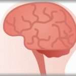 【怖い】旦那が２歳息子を公園に遊びに連れてった→頭から血を流した息子を連れて帰って来た。しかし、旦那の脳内ではケガをさせた時にいたのは旦那から私にすり替わっていて・・・