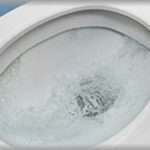 【虫注意】田舎で暮らしていたある夏の日、トイレの水を流すと大量のカブトムシの幼虫みたいなのが流れてきた。