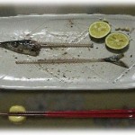 【良い話】誰から見てもブスな姉は、祖母の「中身を見てくれる男性が現れる。中身を磨け」という言葉通り内面は完璧な女性に成長した。そんな姉と義兄の出会いは…。