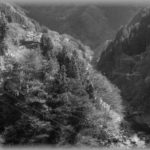 【怖い】山奥で怪しいおっさんとおばさんを見つけた。しげみから観察してたら2人で必死に穴掘っていて、おばさんの横には毛布にくるまった子供の手みたいのが見えた。