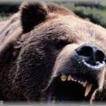 【死ぬほど恥ずかしかった話】私のあだ名は「ヒグマちゃん」もう学校行きたくない。私がヒグマと呼ばれるようになったワケは・・・