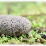 【武勇伝】姉が近所の子供に石を投げられ眉上を縫う怪我をした。しかし子供の親は石がぶつかったぐらいで大げさだ！と逆ギレ。それを聞いた兄は庭にあった石を拾うと…。