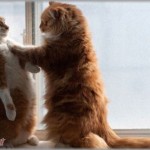 【自分語り】仕事が終わってコンビニに寄ったら、たむろしてるDQNにカツアゲされた結果→ｗｗｗ