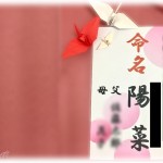 【衝撃体験】私「私の名前は陽菜で『ひな』と読む。結構気に入ってる♪」親「実はその名前な、本当の読みは…」。衝撃的過ぎる名前だった。