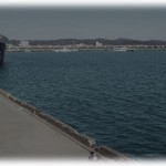 【衝撃体験】フェリーが発着する港でアルバイトしてた時、後方確認に行った後輩の様子がおかしかったので訳を聞いた結果…。