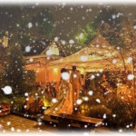 【ドン引き】2月の東北のガーデンナイトウエディング。私「コートとマフラーと…」新婦「その格好どうなの？華やかさがない」←ストーブひざ掛け完備のお前に言われたくない。もちろん式は…。