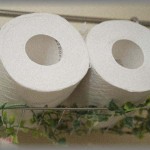 【衝撃体験】同級生家族で集まりBBQをやってた時、トイレに行くと予備のトイレットペーパが2個なくなっていた。「トレベがないんだけど？」と言うと、いきなりA夫が立ち上がり・・・