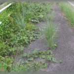 【最悪】夫の転勤で地方へ引っ越したんだけど・・・