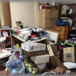 【復讐】幼い頃から物が散乱した汚家が嫌で、家族が散らかした後を掃除し続けてきた。ところがある日、いつものように家族に片付けを促すと「掃除してと頼んだ覚えはない」と一斉に責められ、掃除するのを一切やめた　→　結果