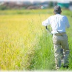 【和む】田舎の国道沿いにお洒落なカフェが出来た。立地的に若い子が多いが、服に気を使わないようなおじいちゃんも来てた、のだがこのおじいちゃんに素敵な変化が…