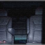 【怖かった話】上司・同僚・私の3人で、九州の果ての支店まで片道20時間の道のりを車で移動した。夜、真っ暗な高速道路を走っていると、荷台の方からすすり泣きの声が・・・後部で寝ている同僚はいくら起こしても起きないし、上司と二人パニック状態に！PAで停車して恐る恐る荷台を見たら　→　上司絶叫