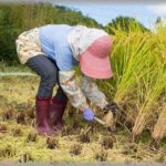 【DQN】兄の彼女が突然押しかけてきて「結婚します！同居して、一緒に農業やります！」と宣言して勝手に仕事を辞めてきた。困った母が「そこまで言うなら、お試しで農業手伝ってみる？」と提案して同居を始めた。→　3週間後