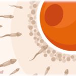 【相談】夫「俺は無精子症だった。子供は托卵か！離婚だ！」私「托卵とかありえない」→その後の夫の言動に愛情が消えうせた