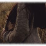 【キチ親子】私「妊娠しました」姑「今回は諦めなさい。流産した義姉の気持ちを考えて！」私「はぁ？！ありえない！」→旦那「やっぱり…」私「（こいつもだめだ…」