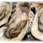 【産後の恨みは…】夫「おげぇ…」義姉「遊びに来たよー。あれ、どうした？牡蠣にあたったの？ふーん…」←義姉が私のためにやってくれた