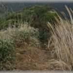 【名付け】キラキラネームや流行の名前を本当に忌み嫌いまくっていた私が、可愛らしいと感じる響きや漢字は絶対に使わないように考えた挙句、我が子につけた