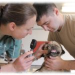 【クズ】喧嘩で、お前の職業（動物病院の看護師）なんてこの世から無くなっても誰も困らん！って言ってから嫁の態度が悪い。