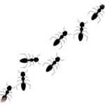 【DQN返し】私から息子を奪ったから略奪婚だ！とうるさい姑。そんな姑の家に蟻と蜂が大量発生してるらしい。実はその虫たち…。