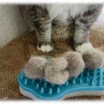 【可愛い】猫にブラシをかけたあと、とれた毛玉を庭先にそっと置いておくと起こる現象…ｗｗかわいいｗｗｗ