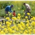 【ウルッとくる話】俺、ステージⅢの大腸癌。汗だくになって家族の思い出作りに奮闘する妻の運転で辿り着いた場所は……