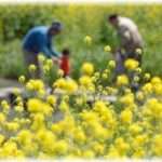 【修羅場】義両親との同居生活に嫌気がさし、やっと同居解消できたが、旦那が｢俺はお前の言う通り、親を捨ててここに来た。今度は俺の番。俺のやりたい事をやらせてもらう｣と宣言した。