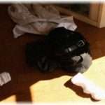 【胸糞な話】里帰り出産を希望してる友人の旦那が「里帰りされたら家のことはどうすんだ」って言ってきたから、「そんなことも出来ないのｗ」って言ったら…