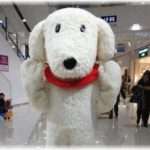 【名付けに後悔】娘に和音（かずね）っ名前付けたら、若いお母さん達にわおんちゃん？わのんちゃん？おんぷちゃん？って立て続けに訊かれた。私の感覚が古すぎたんだと後悔。